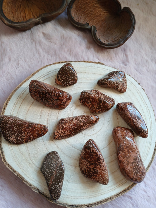 Sternrhyolith ( Sternenjaspis ) 3,5 - 5,2 cm Trommelsteine