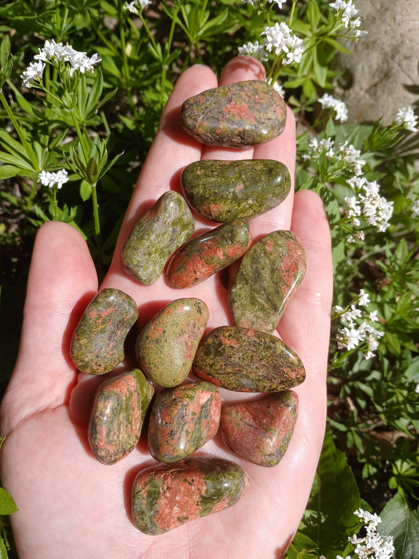 Unakit (Epidot) 2 - 4 cm Trommelsteine