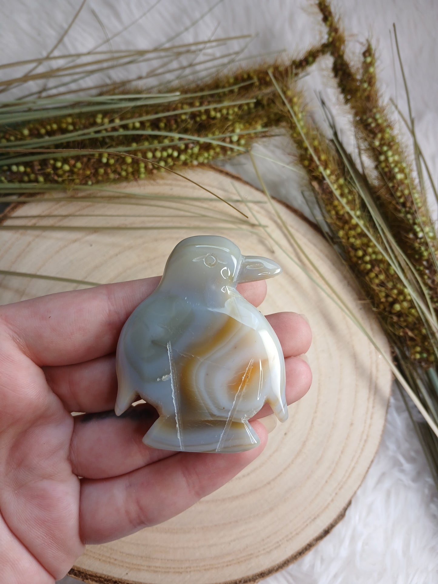 Druzy Achat Pinguin