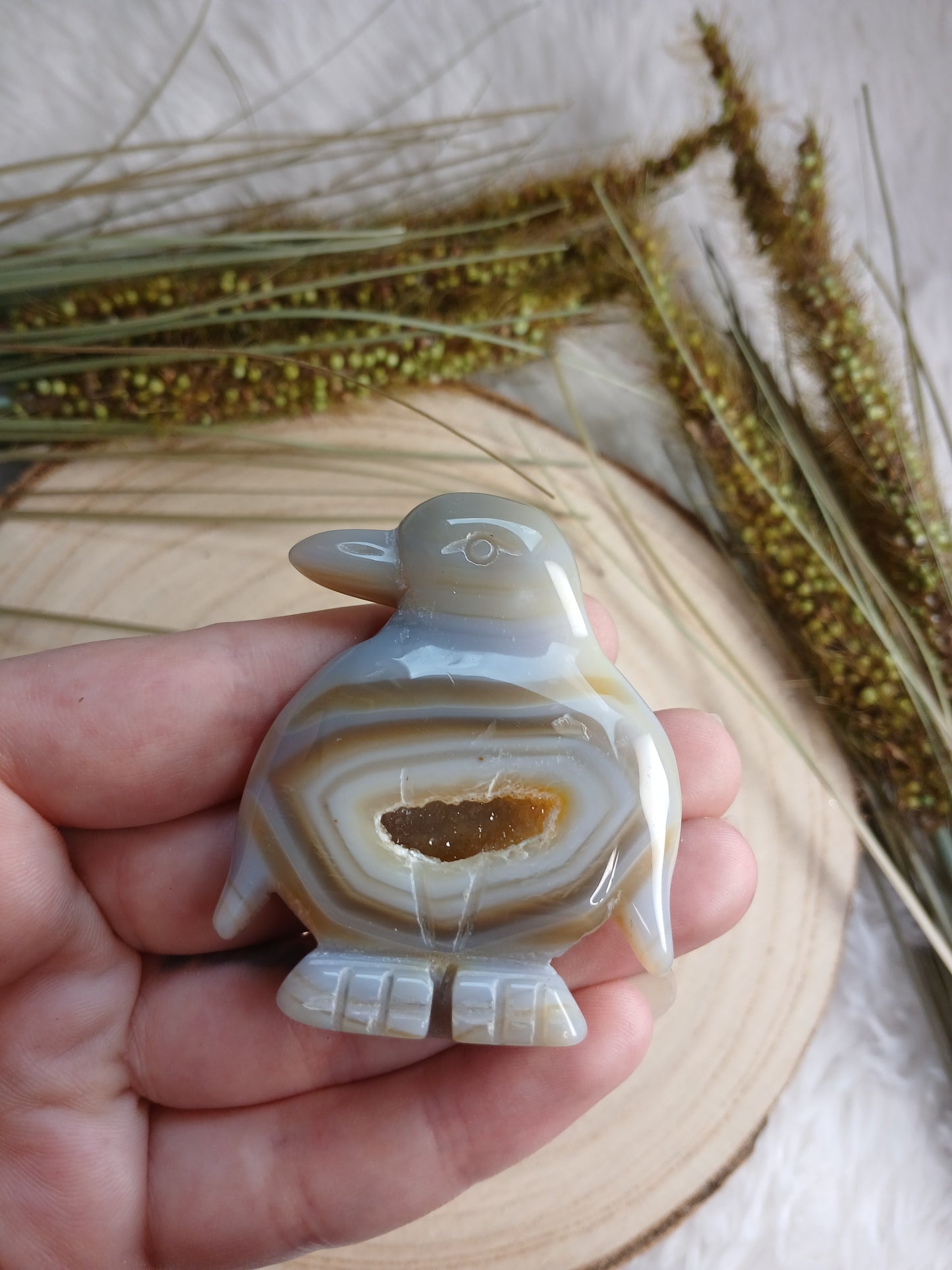 Druzy Achat Pinguin