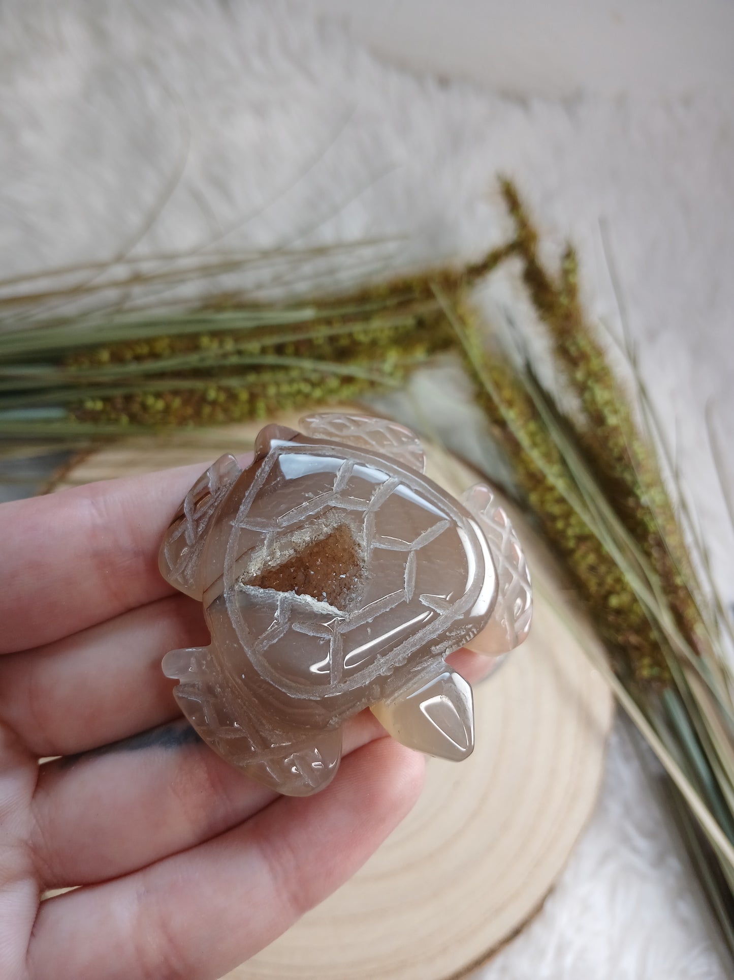 Druzy Achat Schildköte