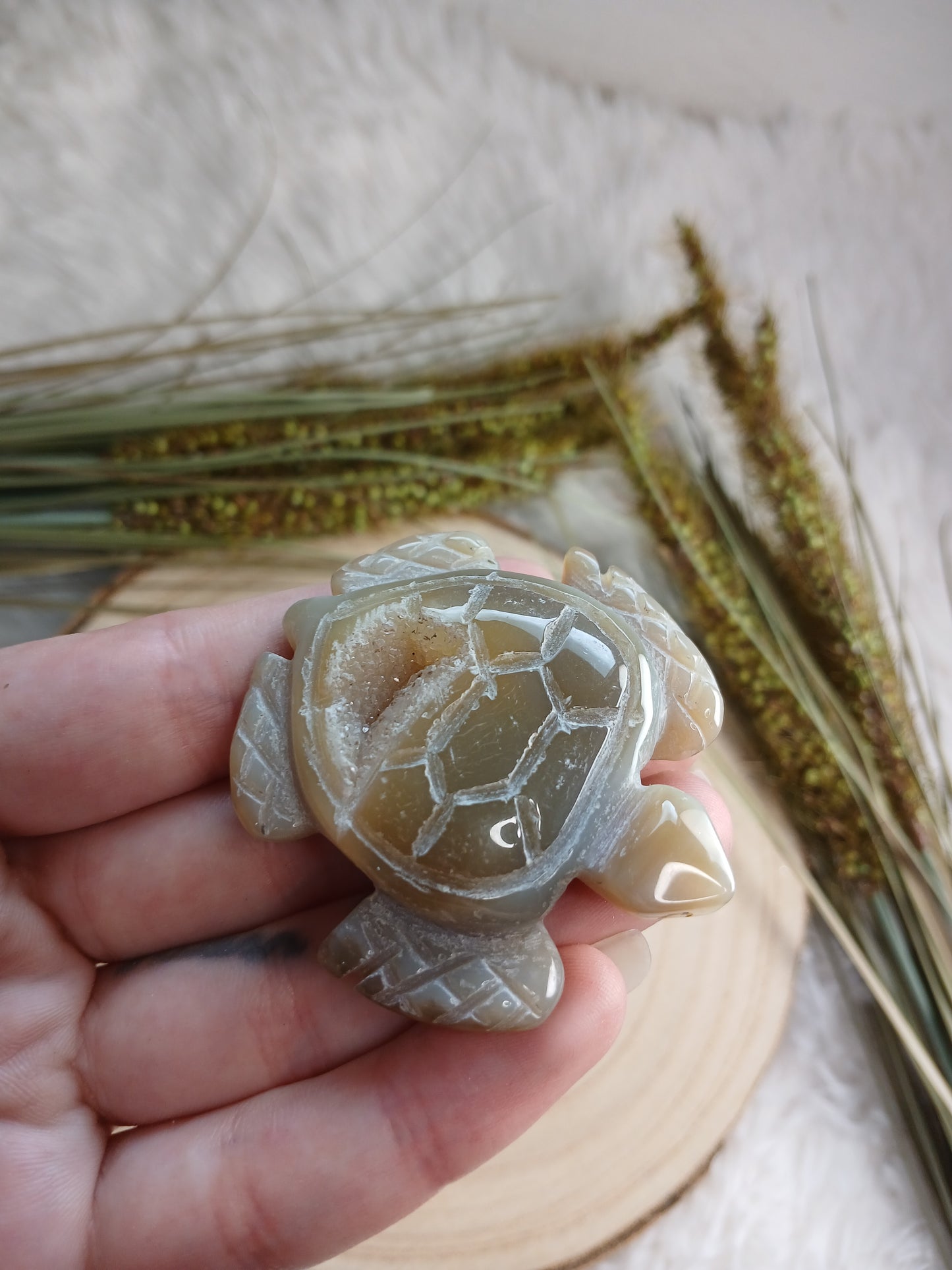 Druzy Achat Schildköte