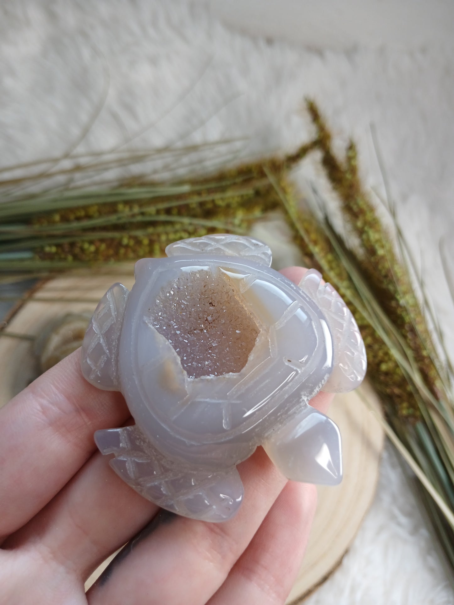 Druzy Achat Schildköte