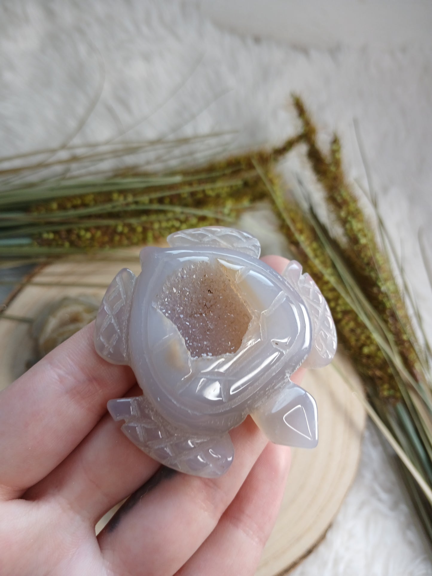 Druzy Achat Schildköte