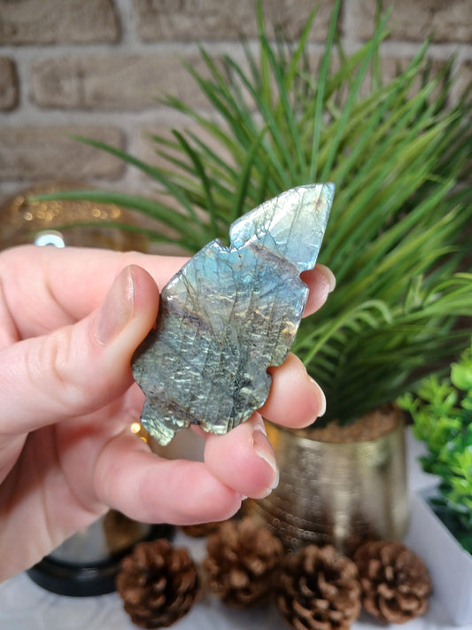 Labradorit Blatt, 6 cm, Rückseite