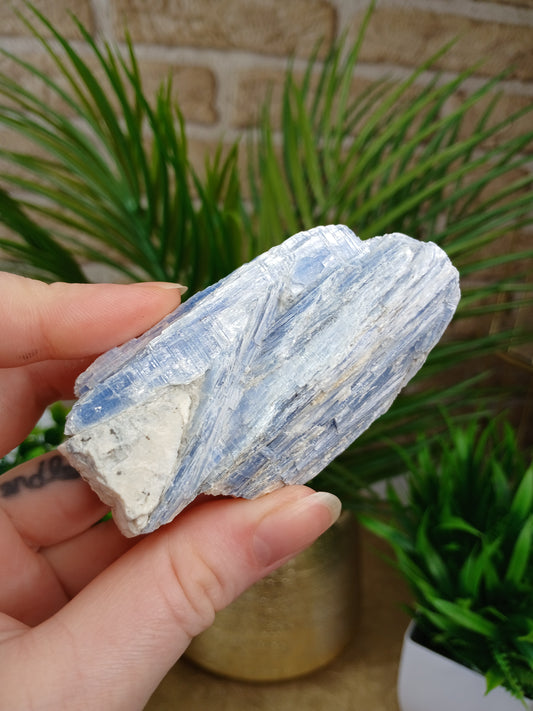 Disthen Kyanit Rohstein