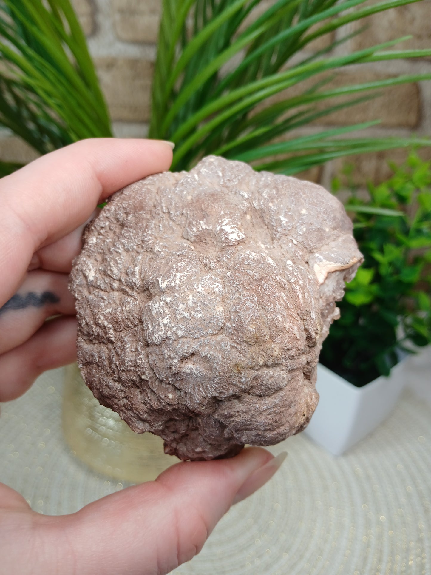 Pink Amethyst Geode