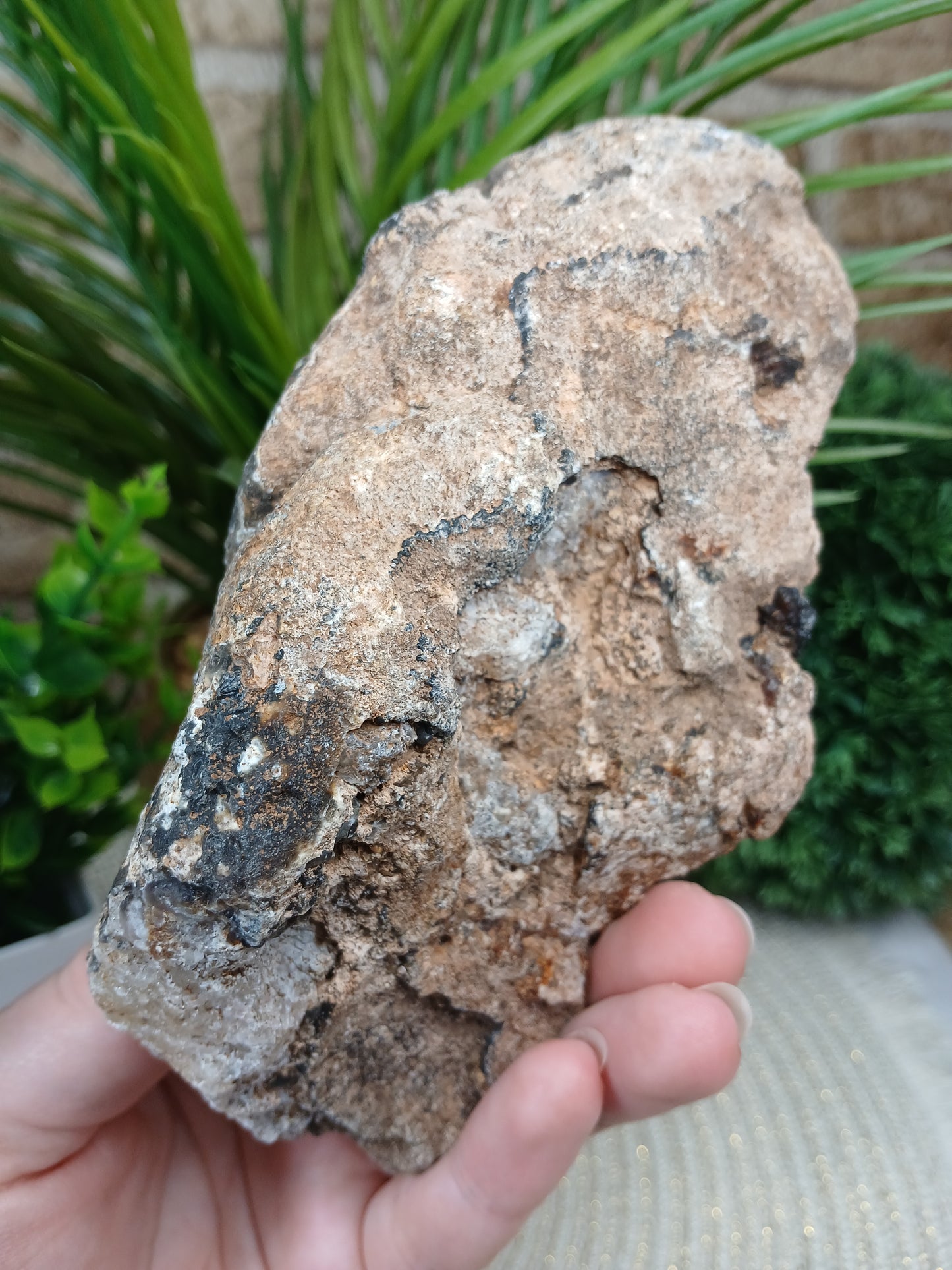 Achat Geode (Anschnitt)