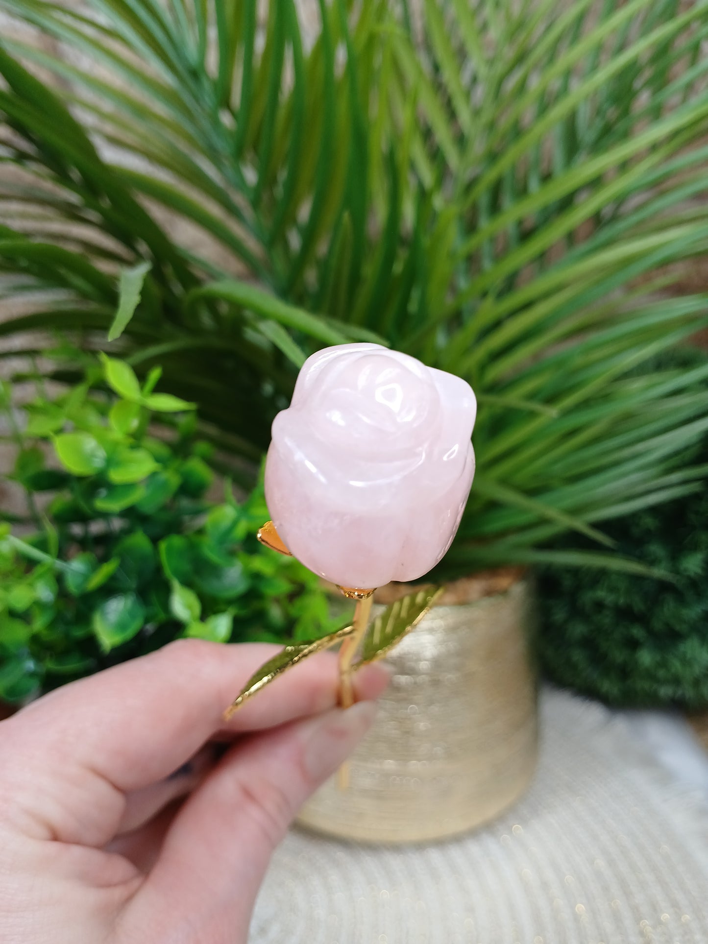 Rosenquarz Rose