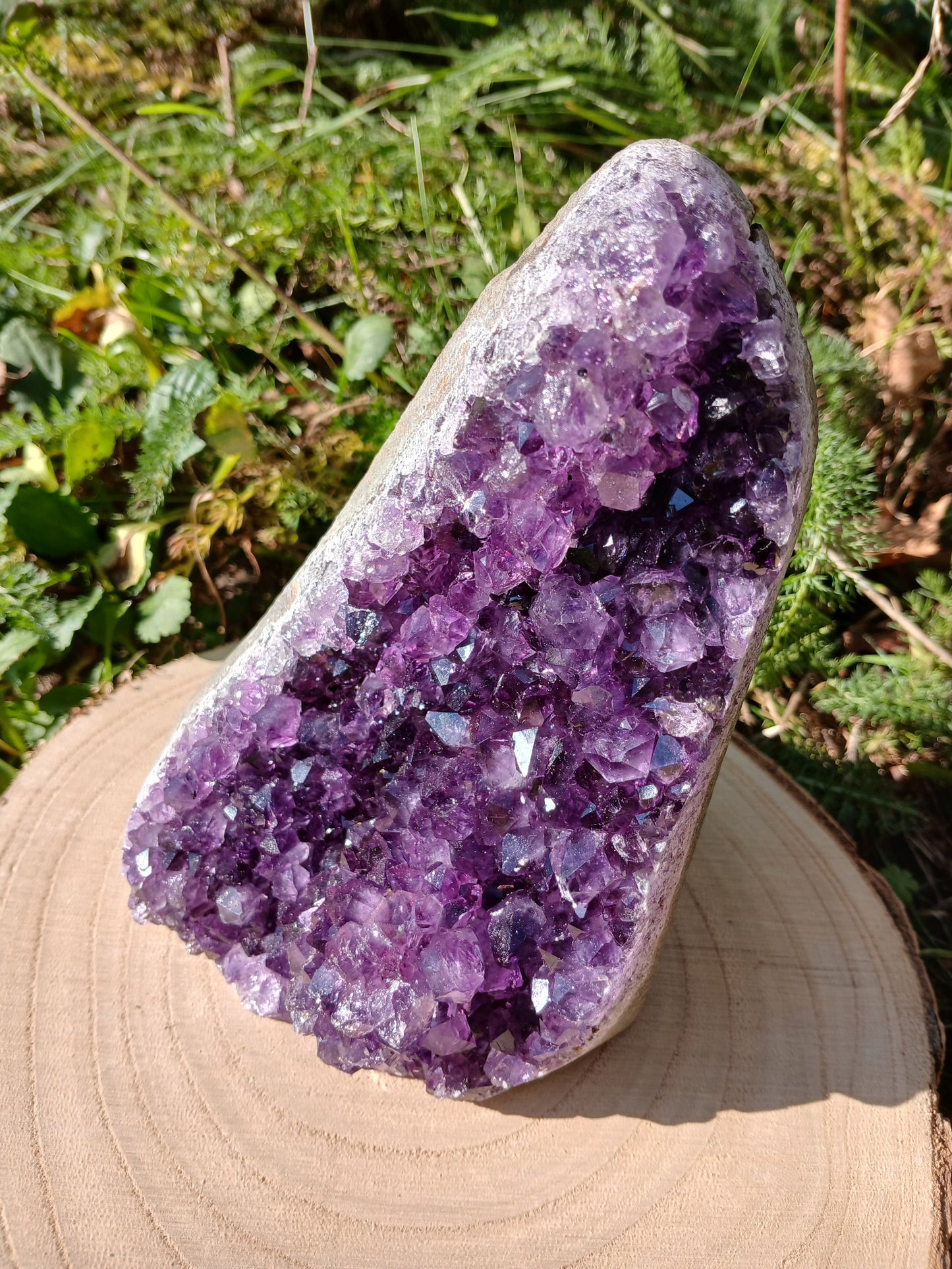Amethyst Druse