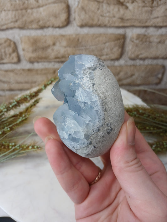 Coelestin Cluster "Ei"