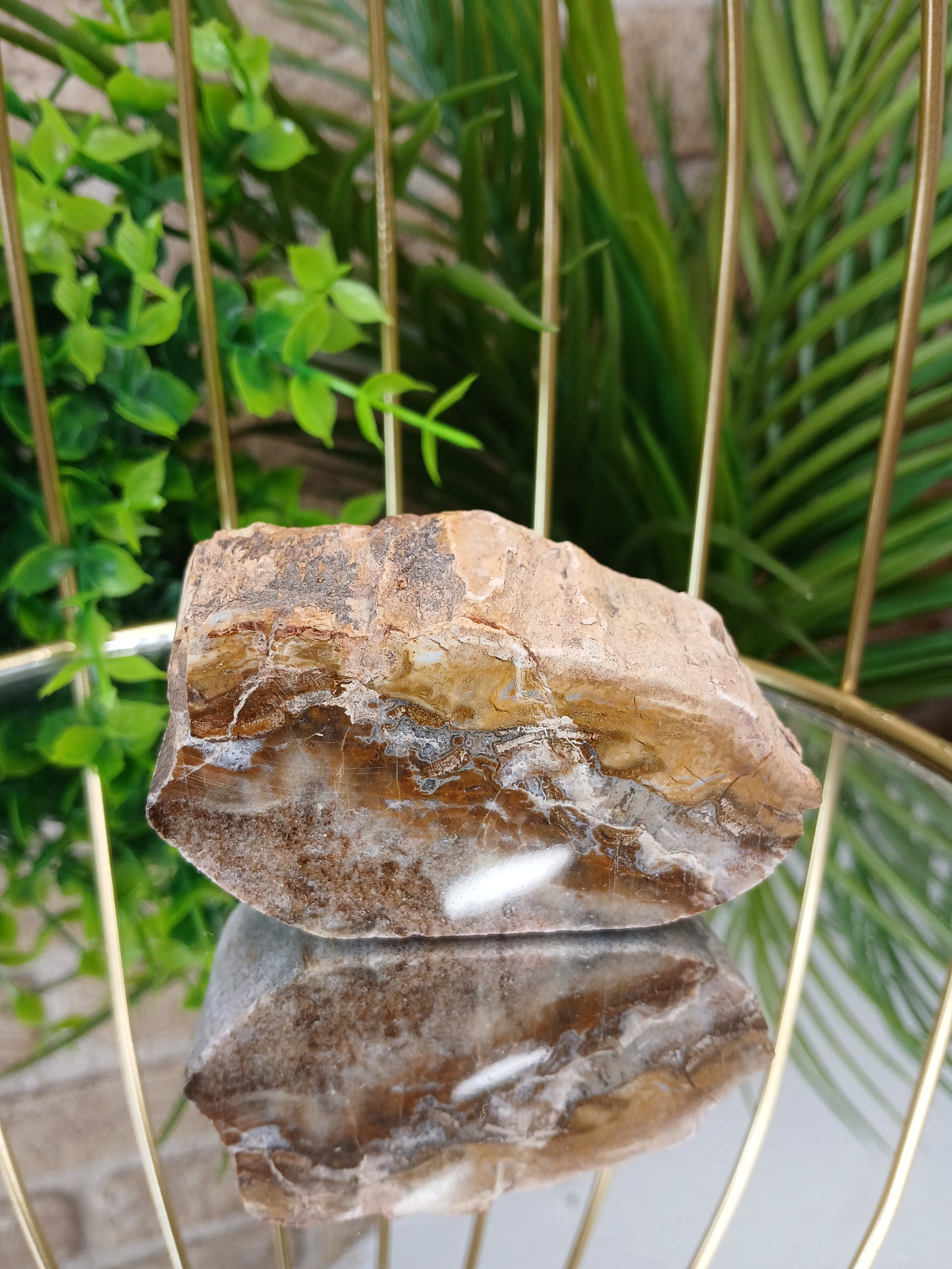 Versteinertes Holz
