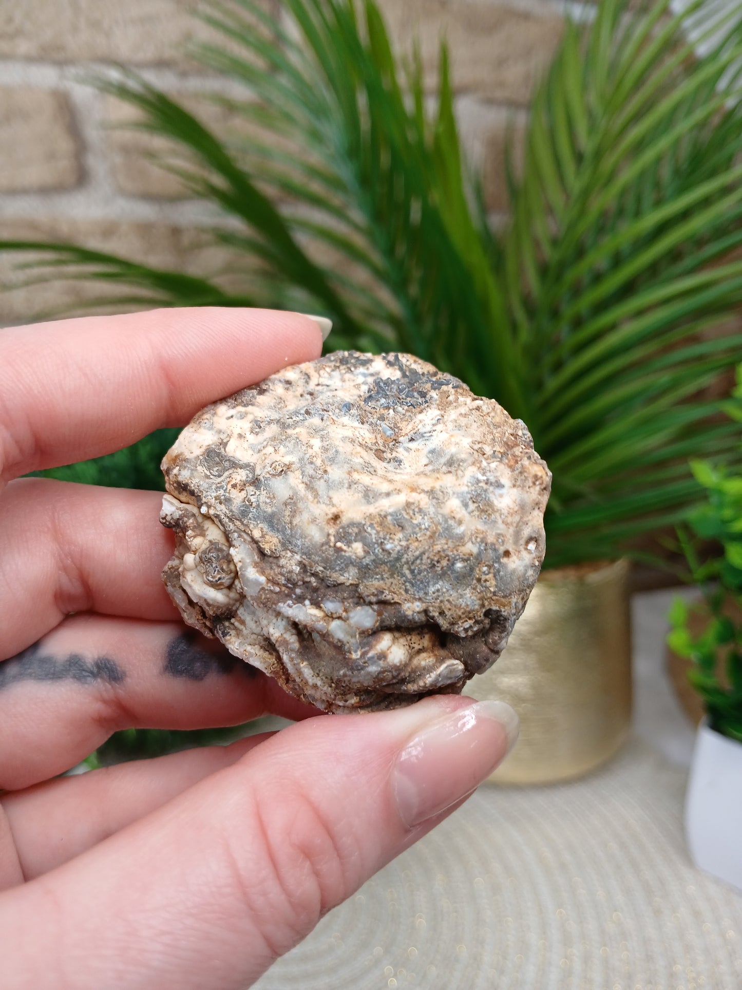 Achat Geode (Anschnitt)