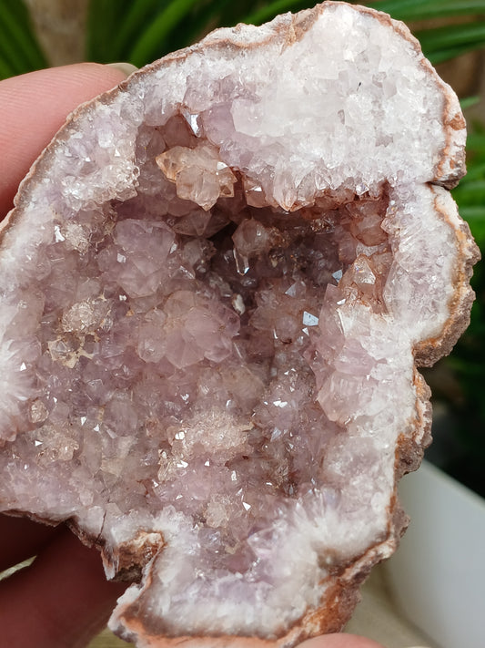 Pink Amethyst Geode