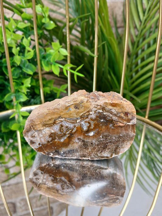 Versteinertes Holz