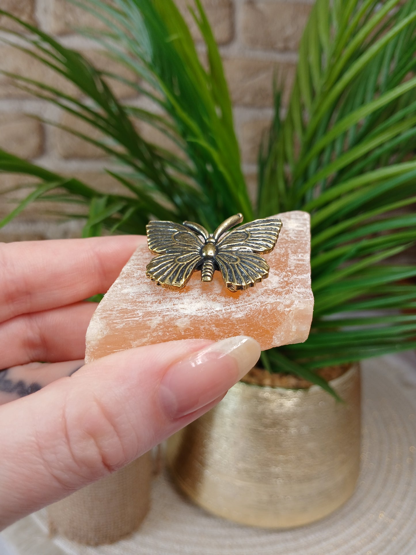 Schmetterling auf Orangenen Selenit