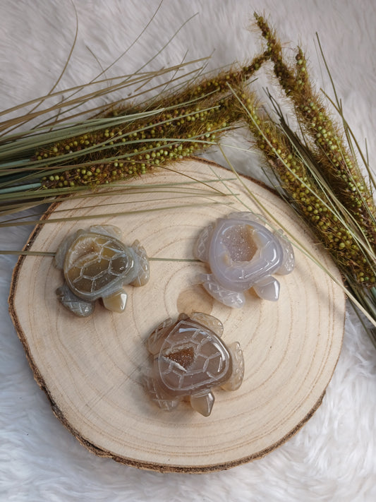 Druzy Achat Schildköte