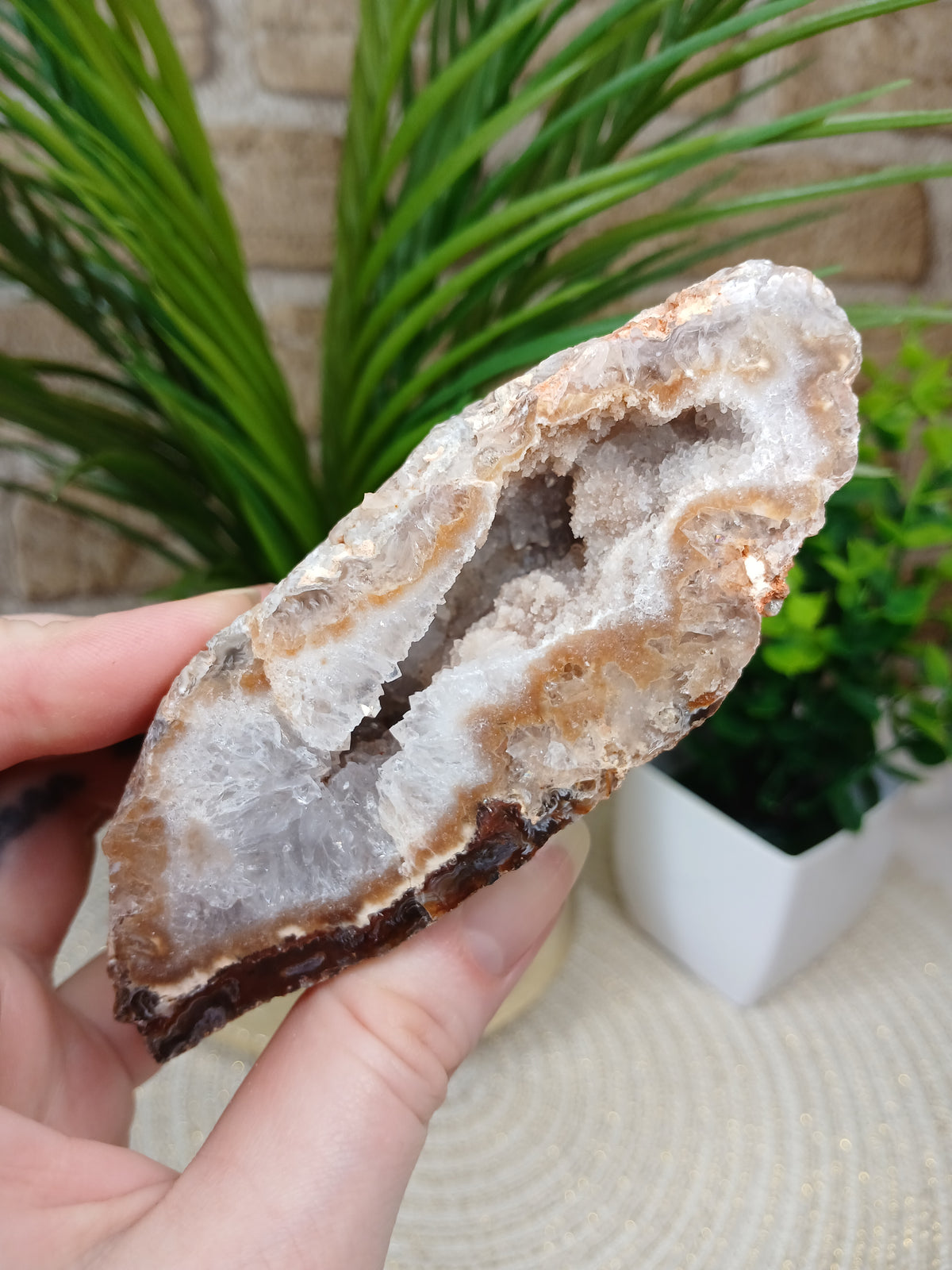 Achat Geode (Anschnitt)