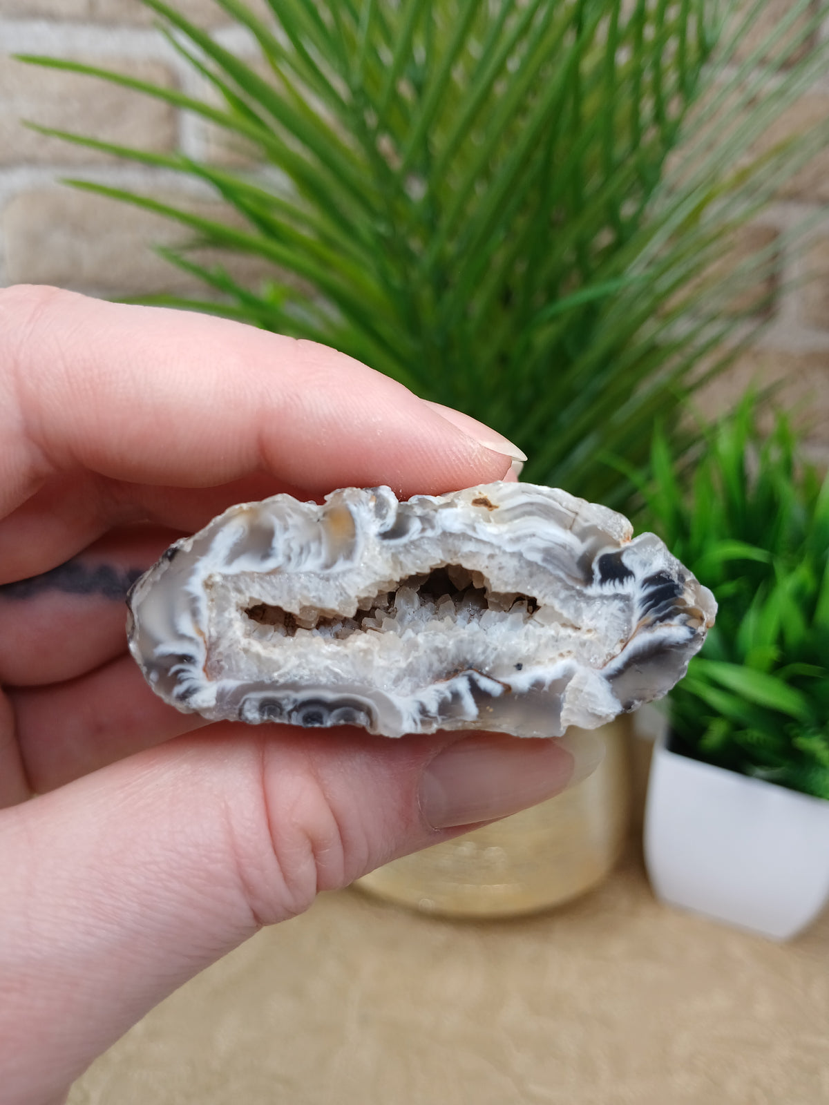 Achat Geode (Anschnitt)