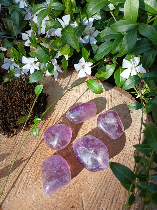 Amethyst A-Qualität 2 - 4 cm Trommelsteine