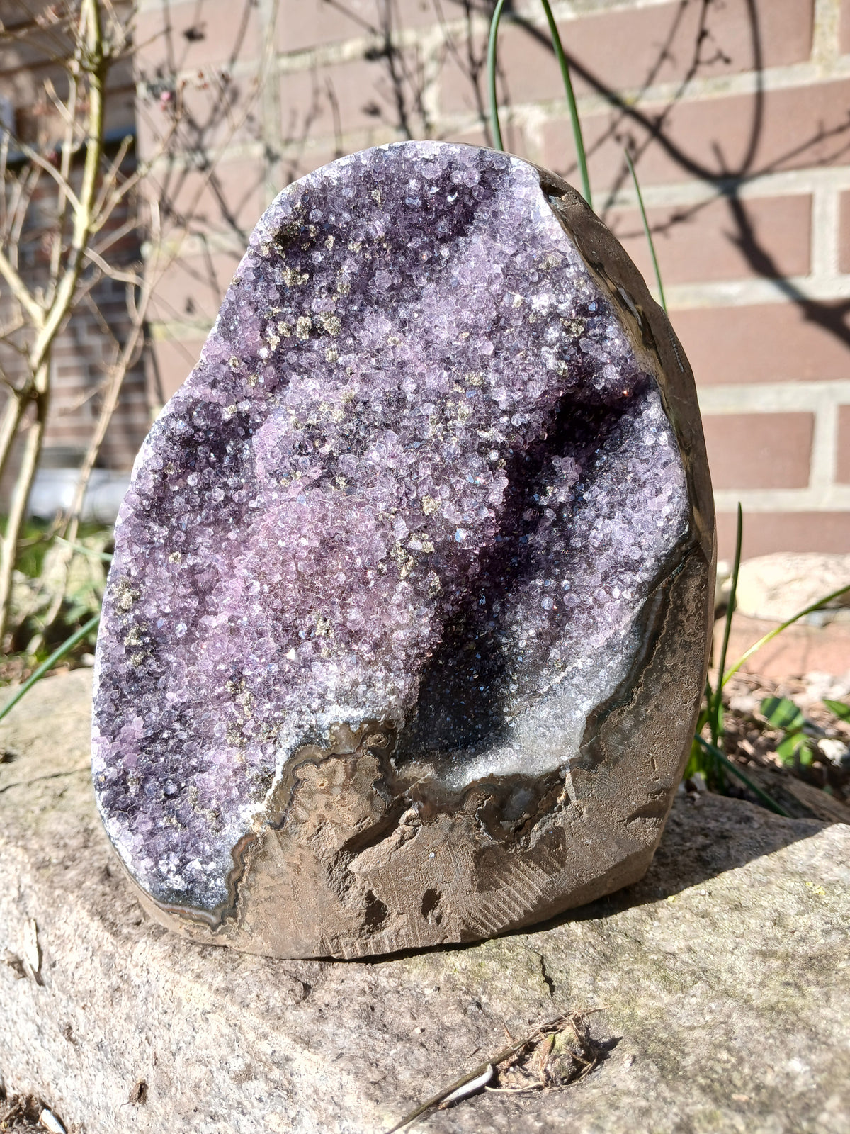 Amethyst Druse mit Pyrit