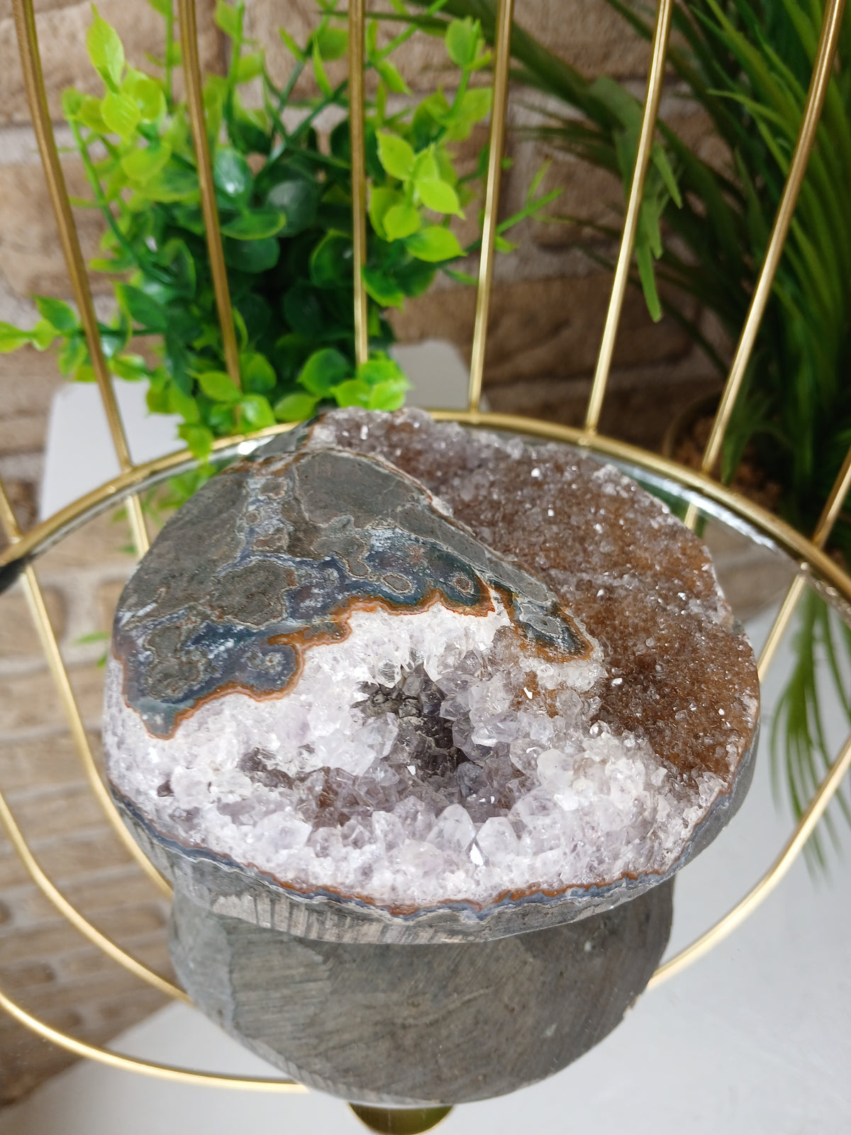 Amethyst Geode (Polierter Rand) Extra Qualität