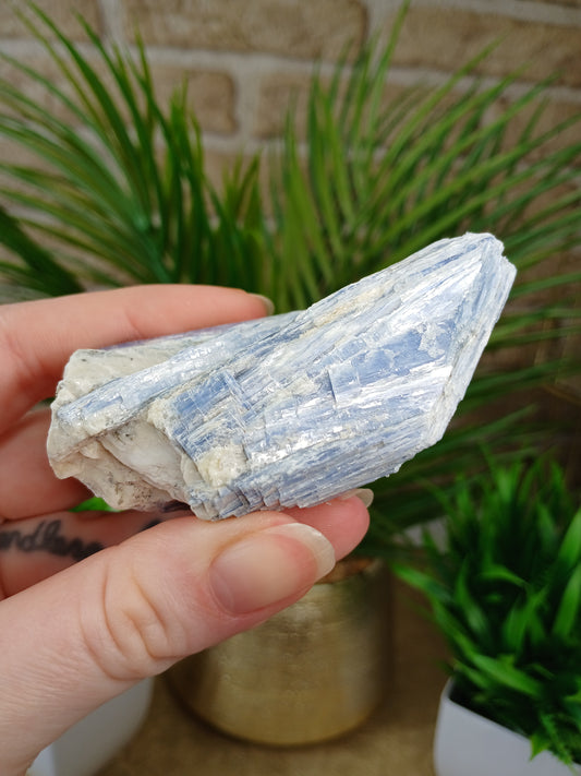 Disthen Kyanit Rohstein, Edelstein, blau und Weiß 