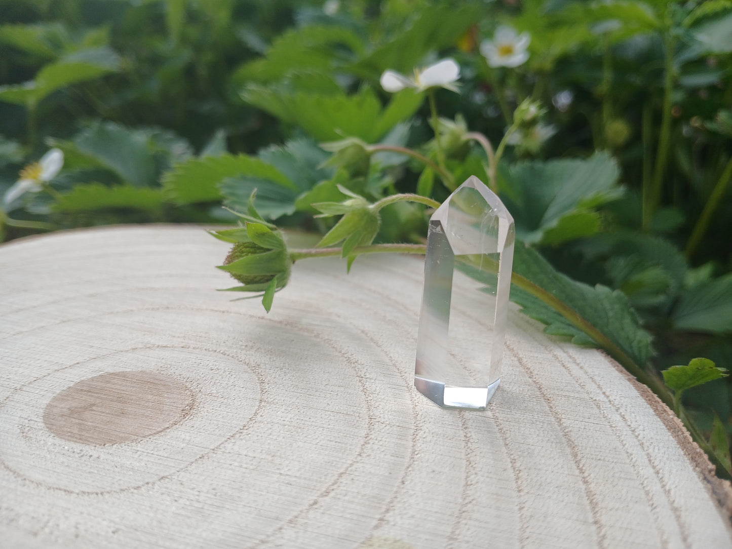 Bergkristall glasklar 3,5 cm