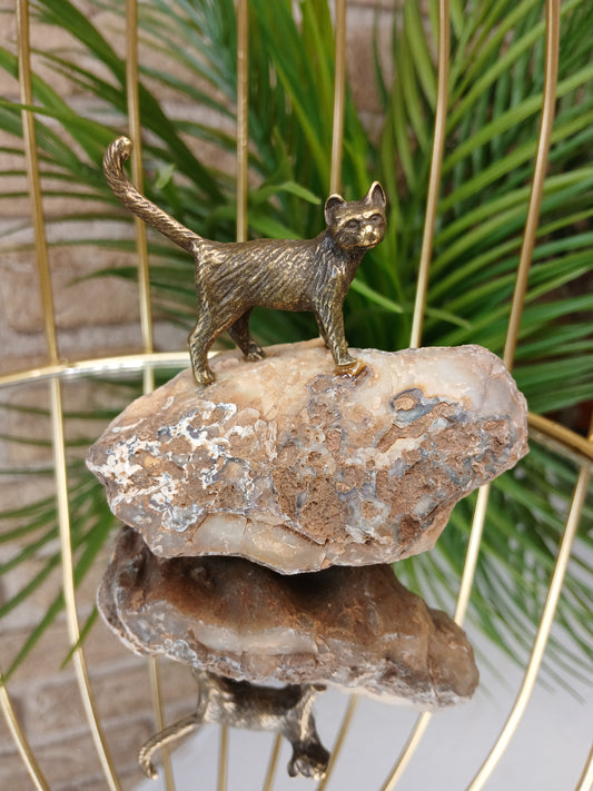 Messing Katze auf Achat (Malawi) Rohstein