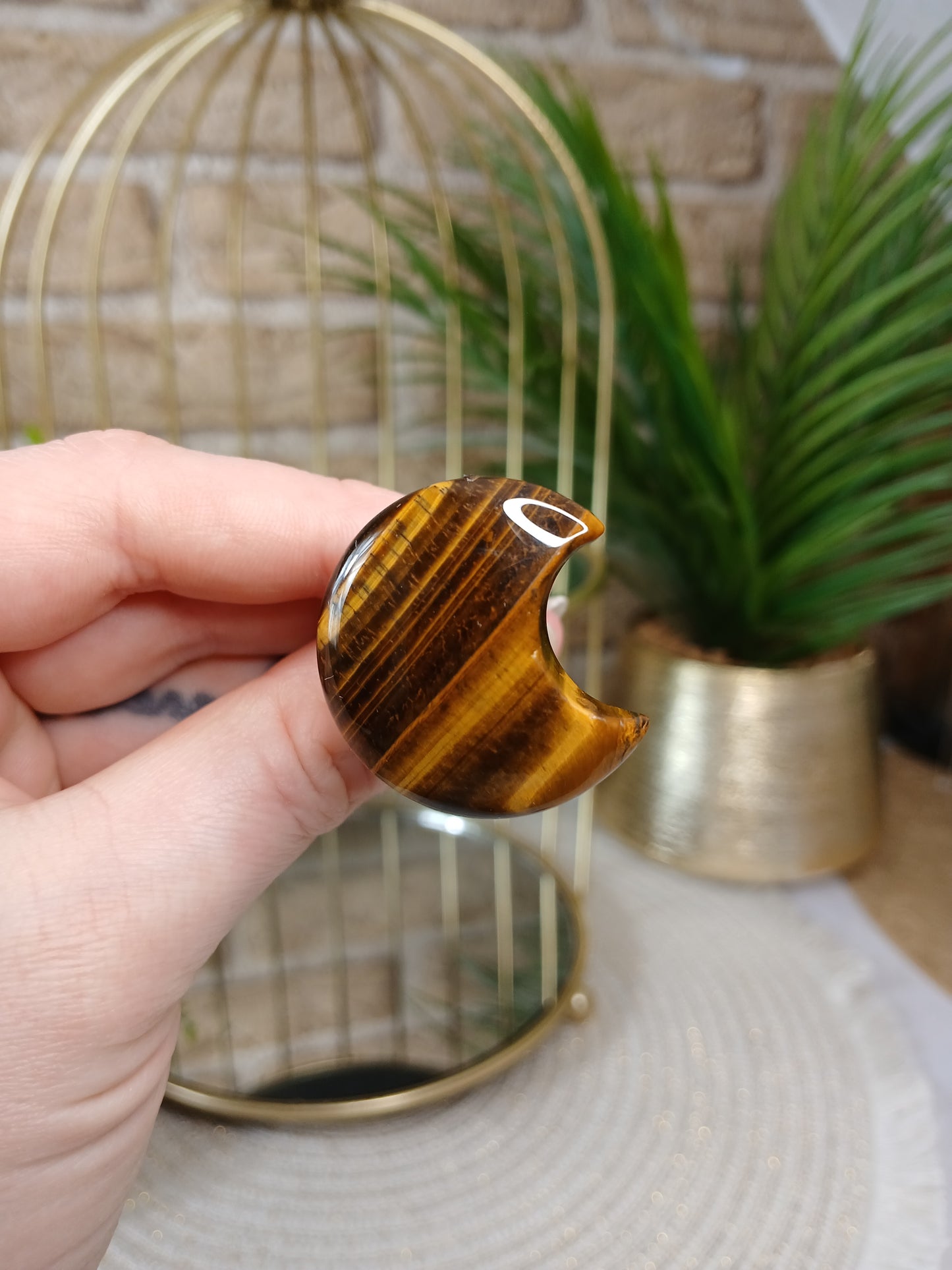 Tigerauge Mond Clip