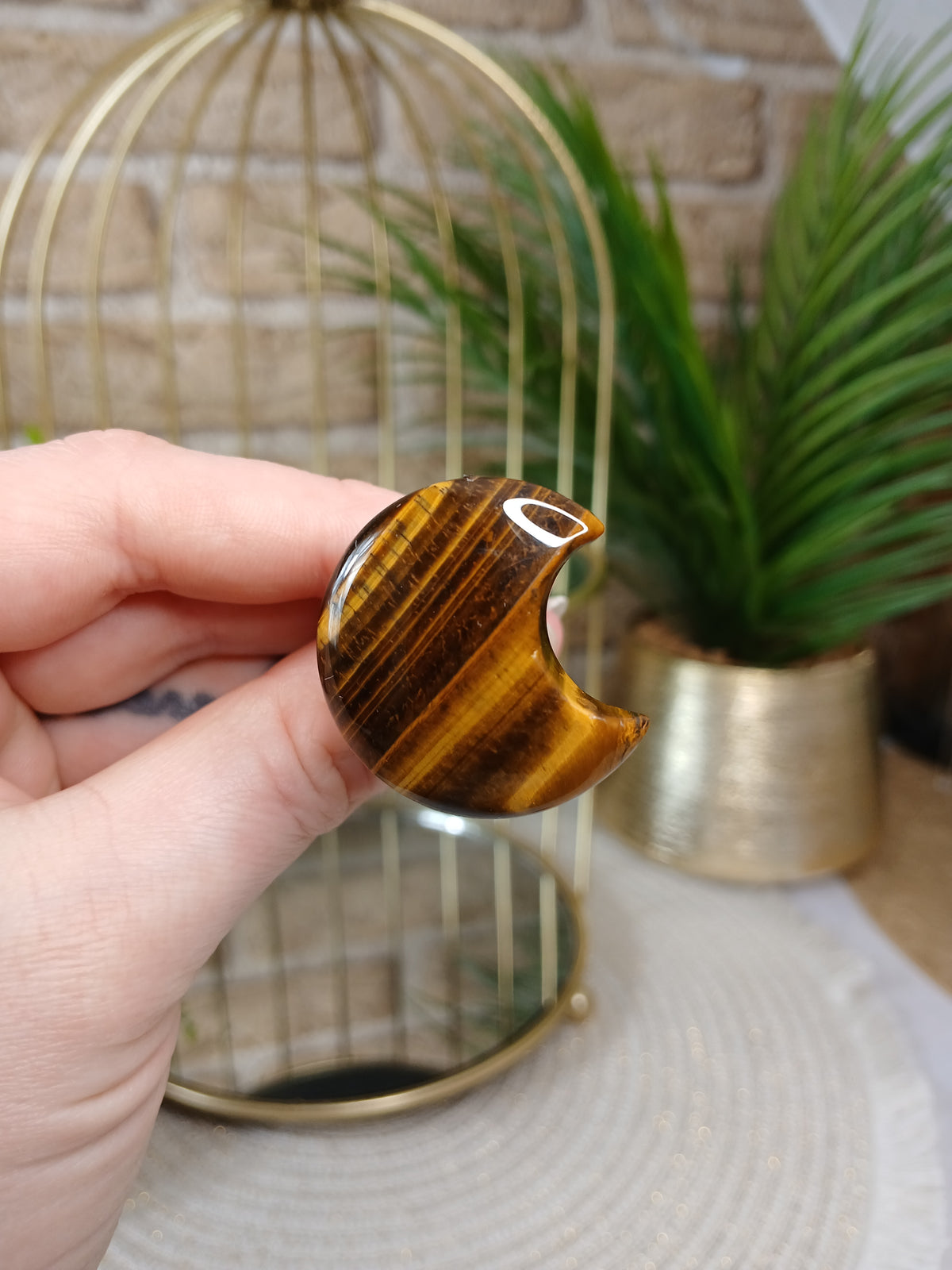 Tigerauge Mond Clip