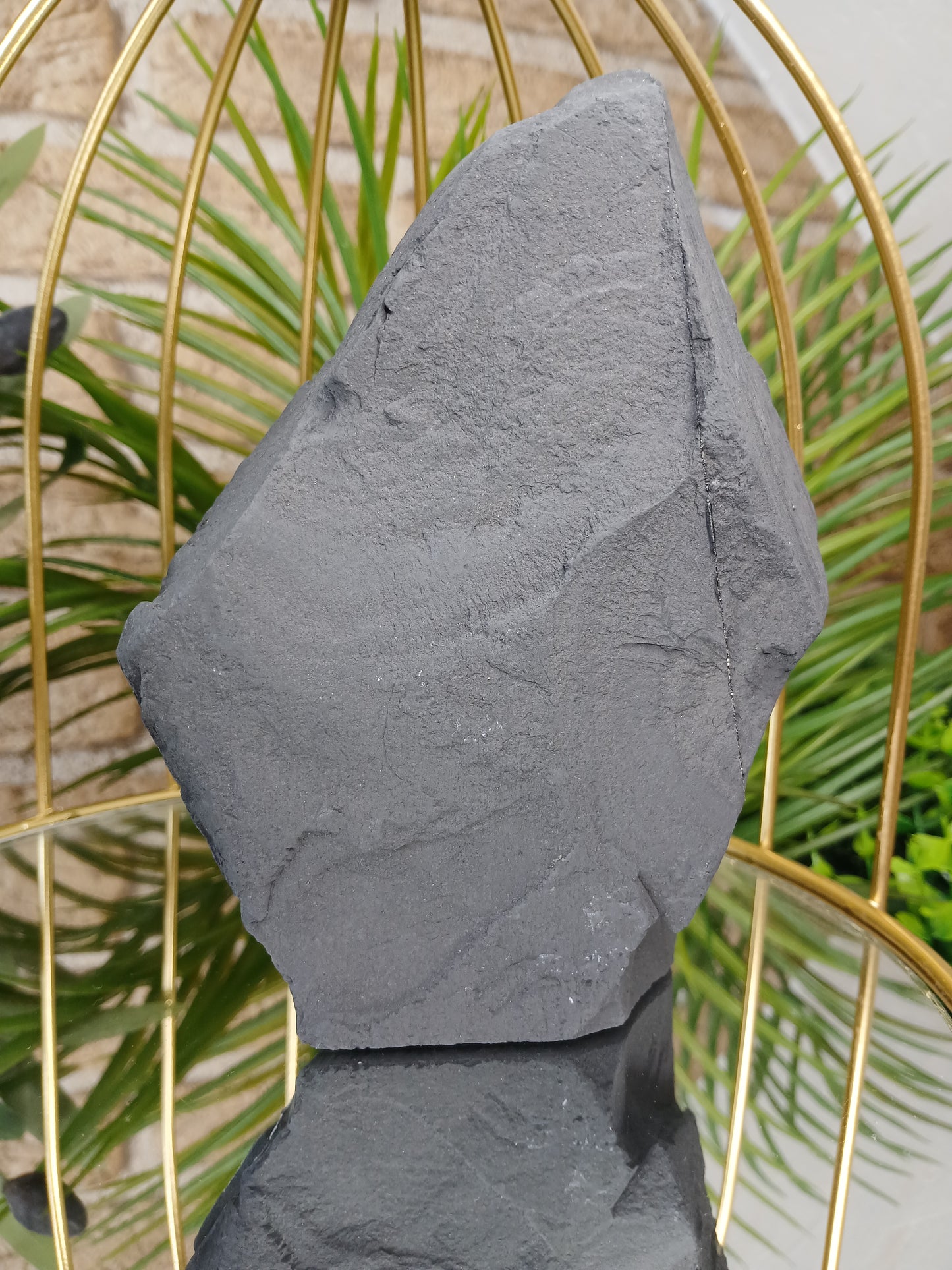 Pyrit auf Schungit