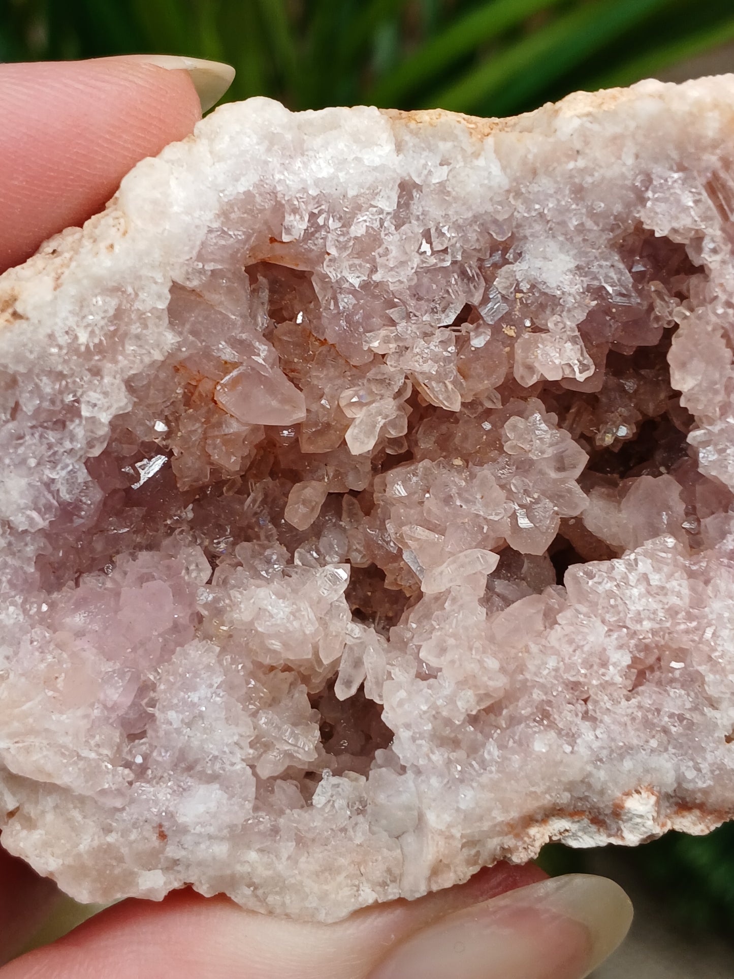 Pink Amethyst Geode