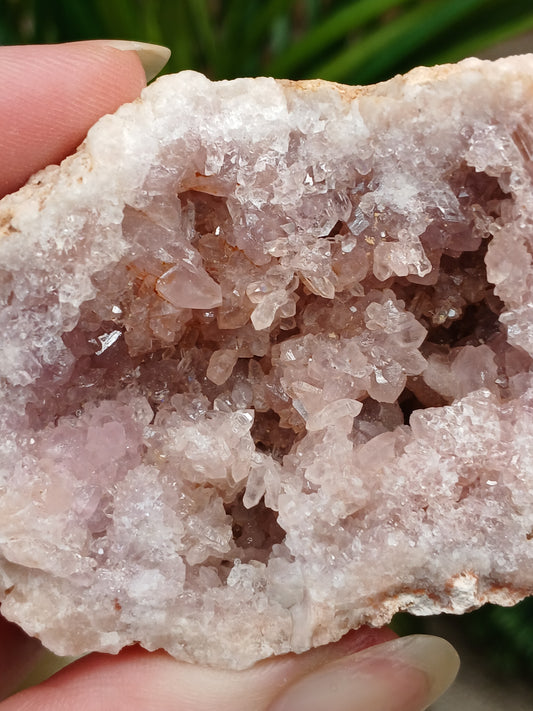 Pink Amethyst Geode