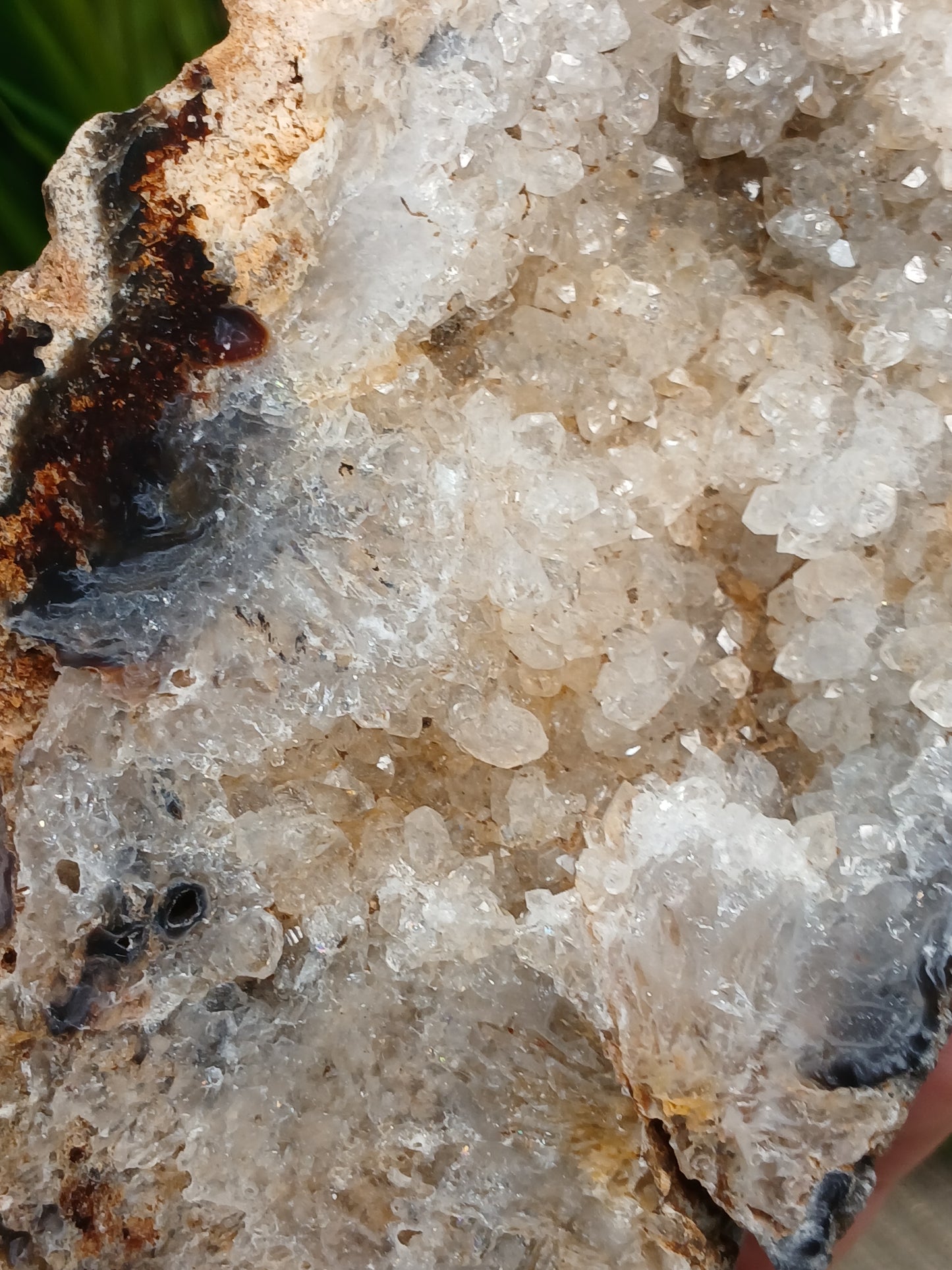 Achat Geode (Anschnitt)