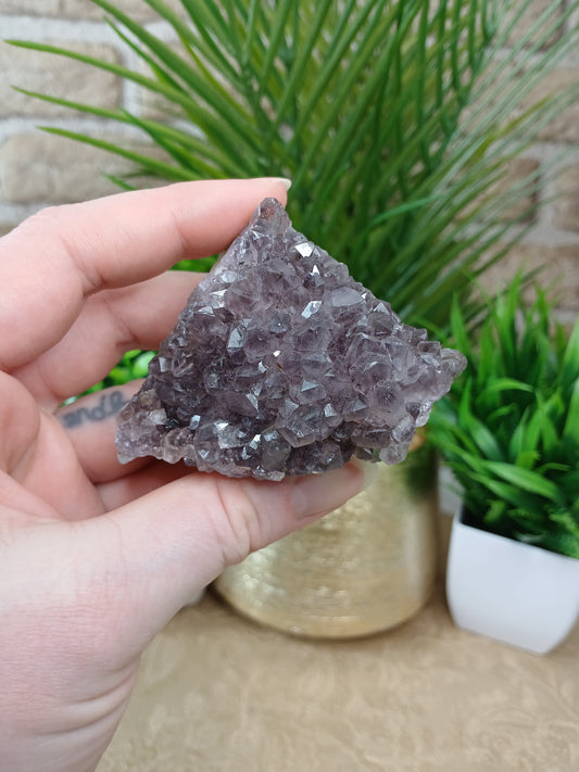 Amethyst Cluster