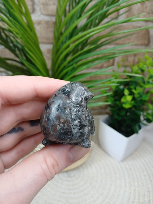 Yooperlite Vogel