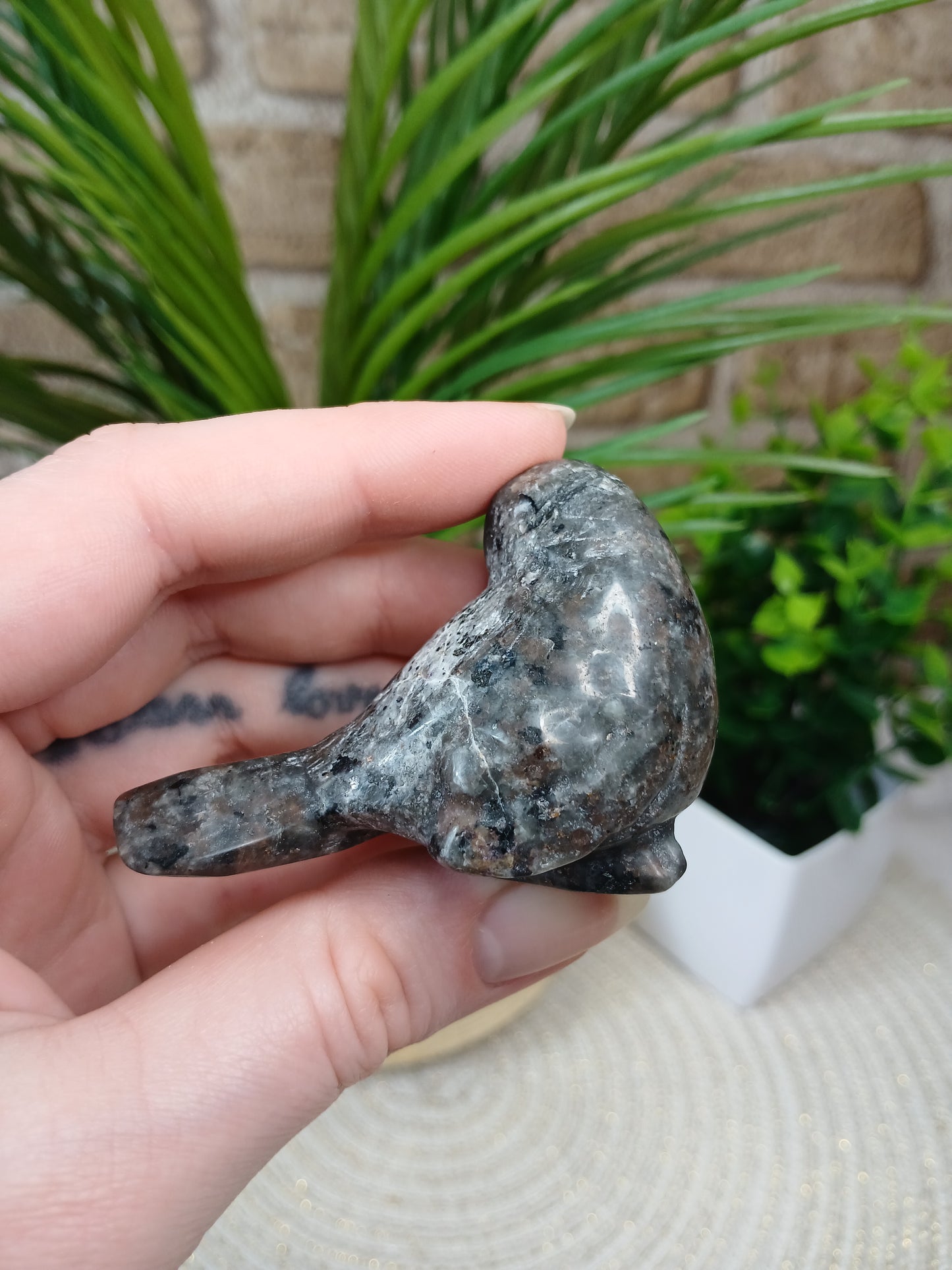 Yooperlite Vogel
