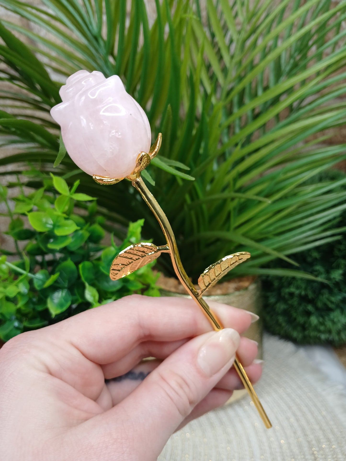 Rosenquarz Rose