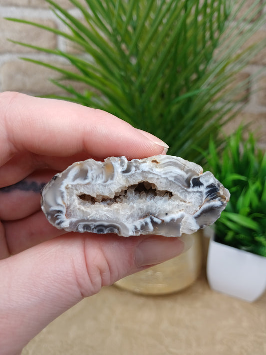 Achat Geode (Anschnitt)