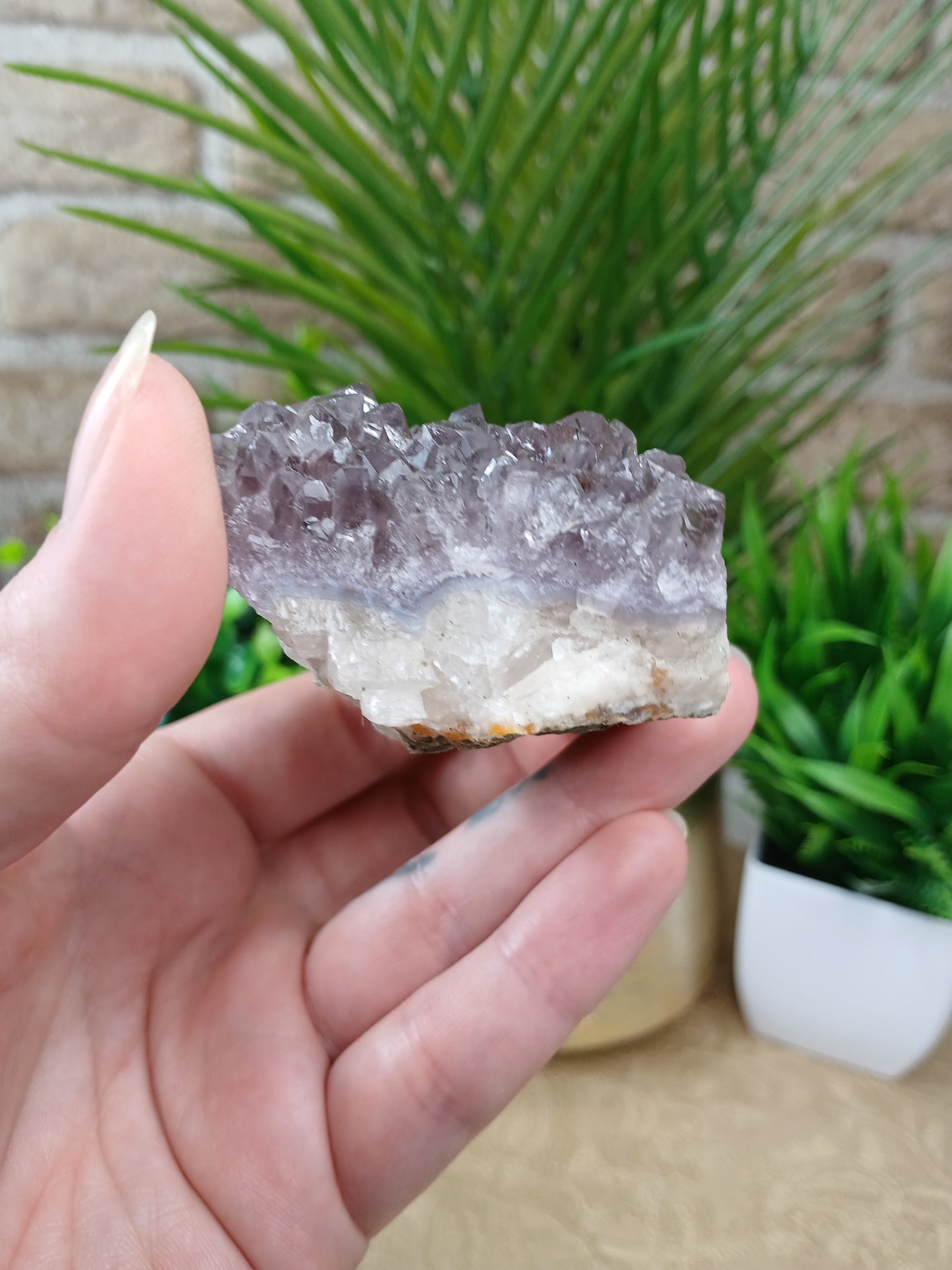Amethyst Cluster