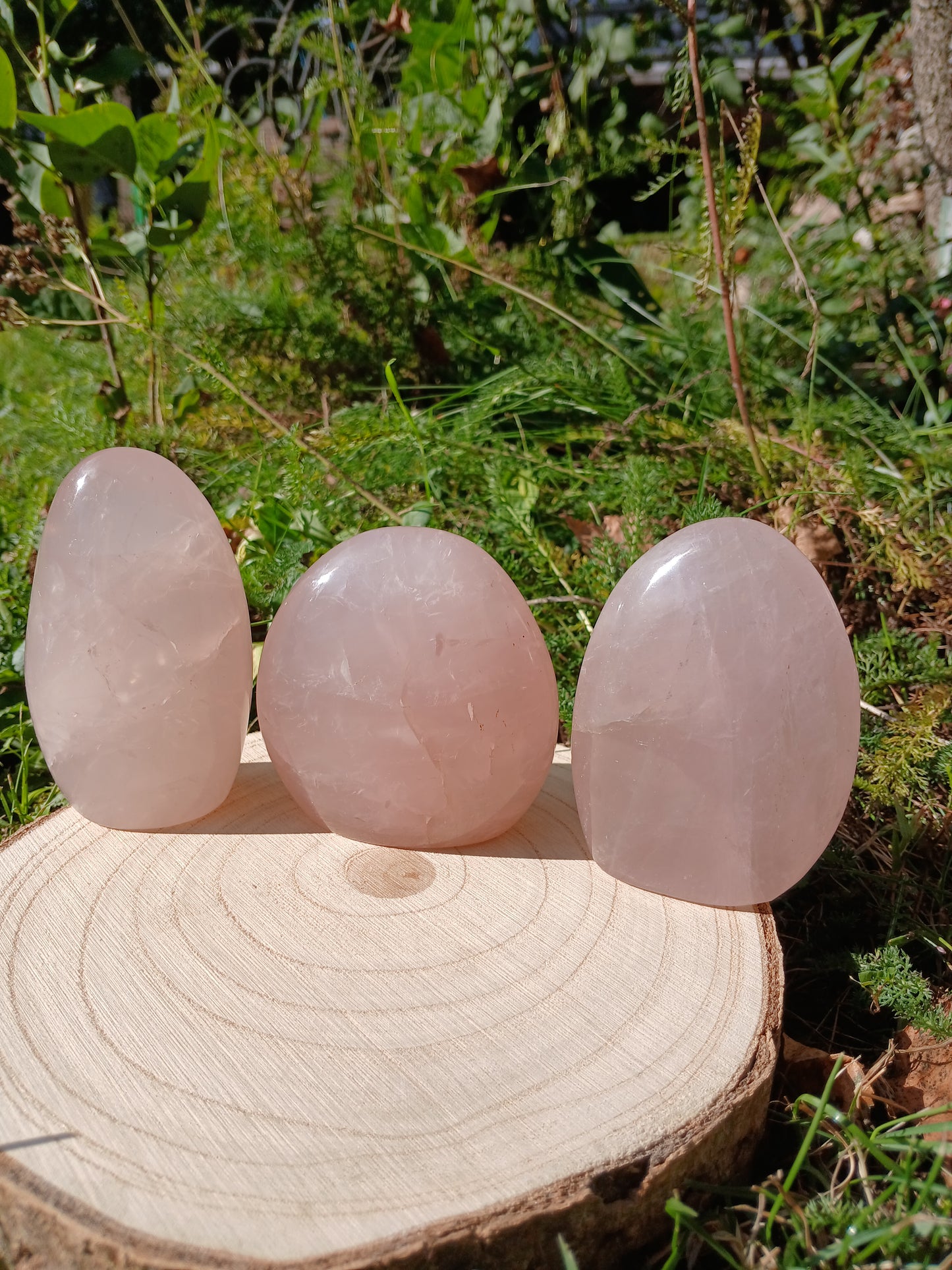Rosenquarz Freiform