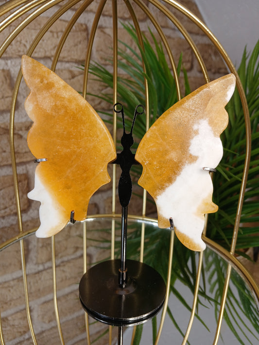 Orangencalcit Schmetterling