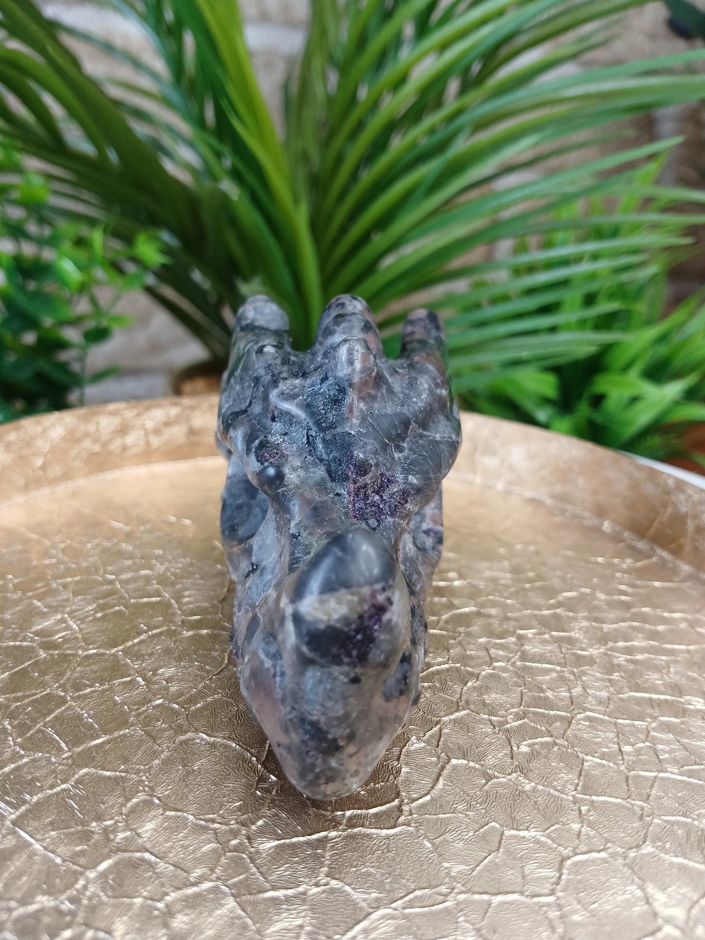Yooperlite Drachenkopf