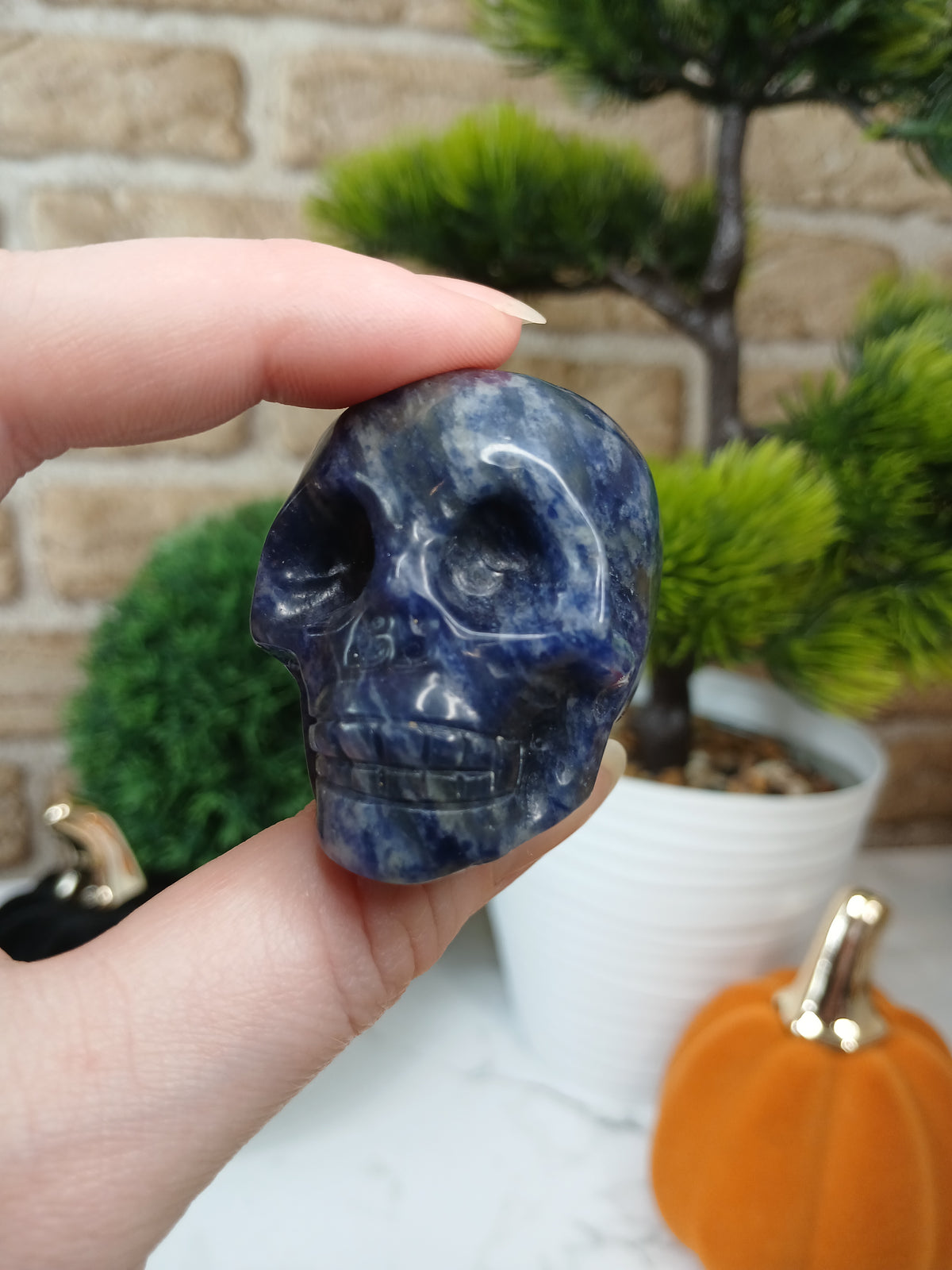 Sodalith Schädel