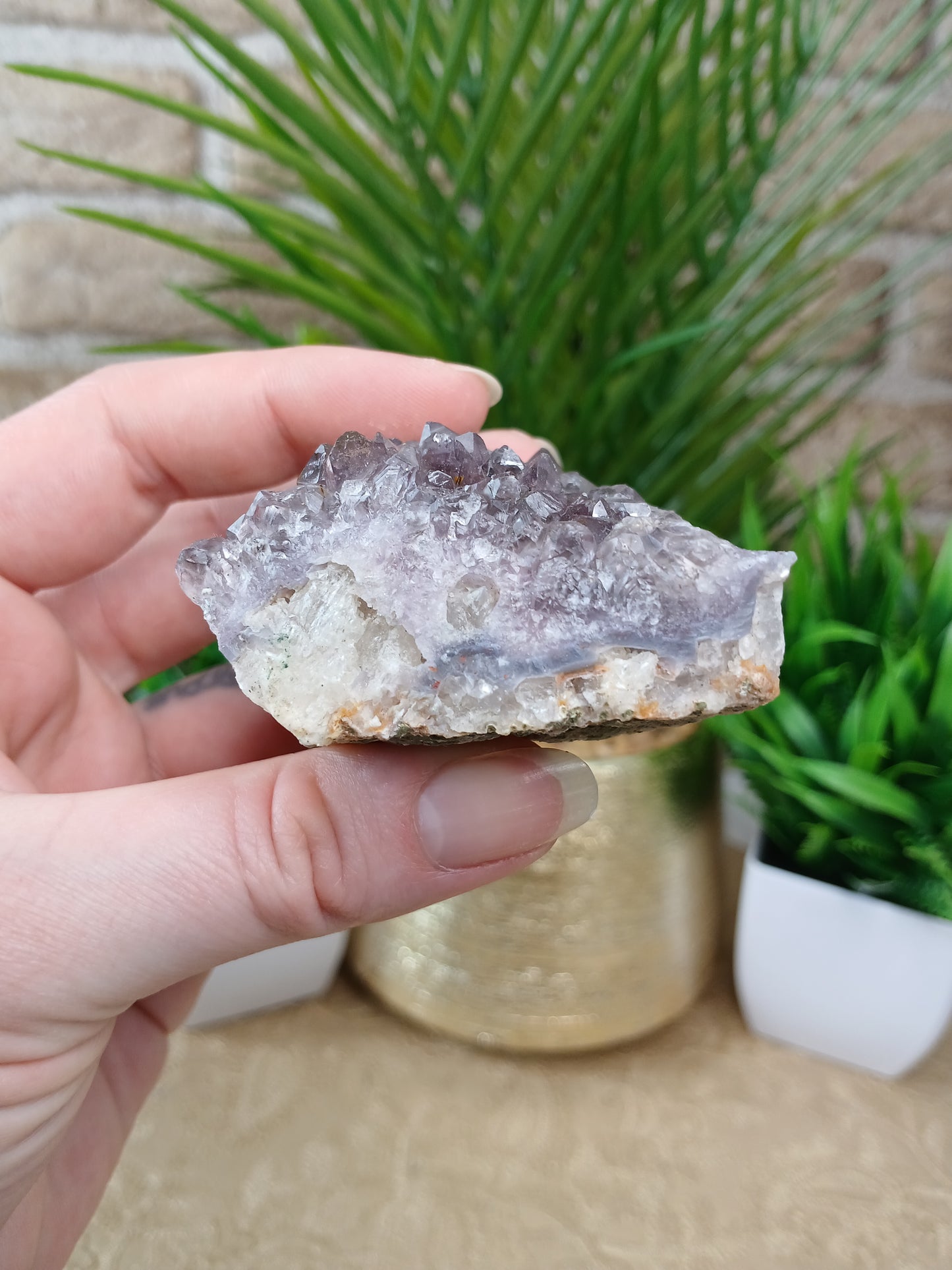Amethyst Cluster