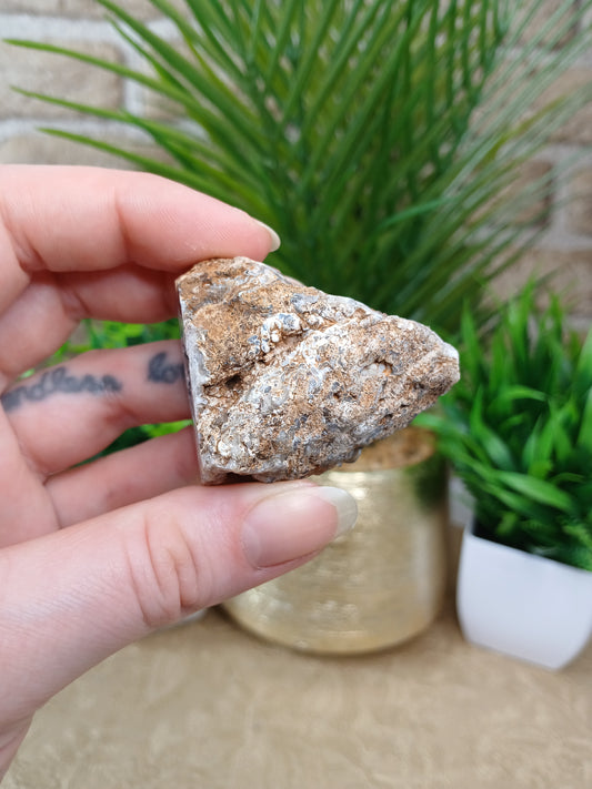 Achat Geode (Anschnitt)