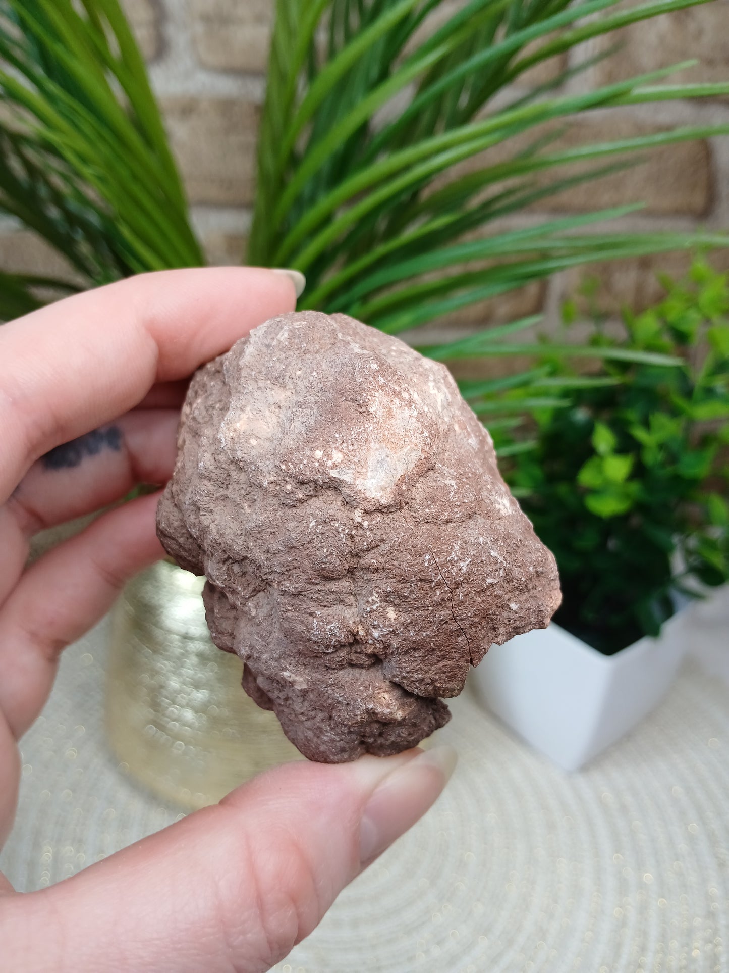 Pink Amethyst Geode
