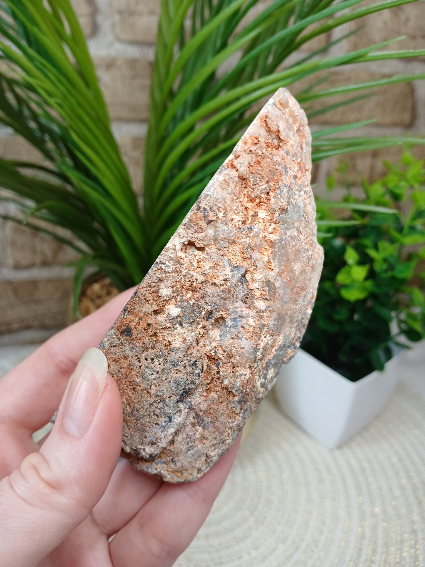 Achat Geode (Anschnitt)