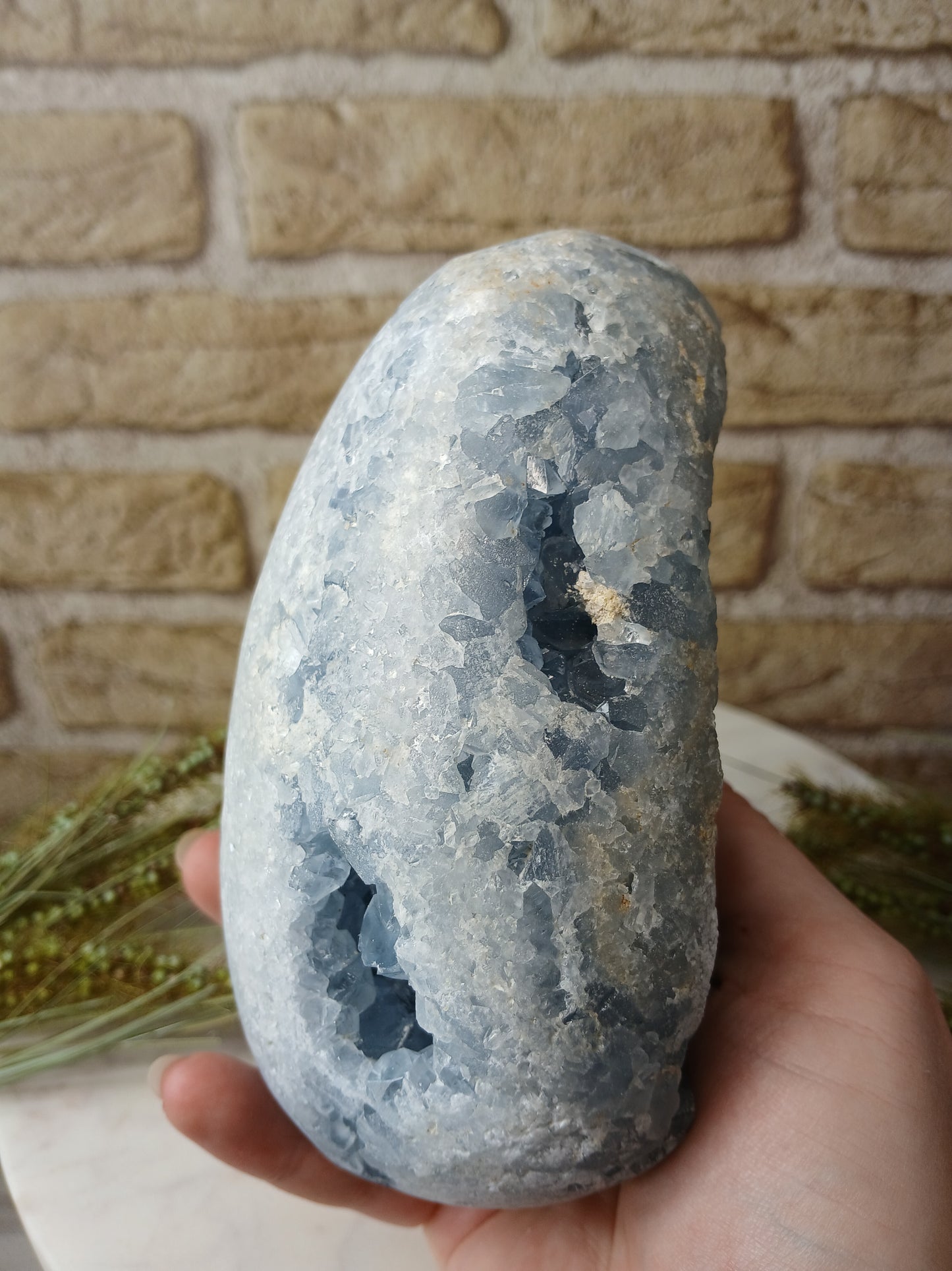 Coelestin Cluster "Ei"